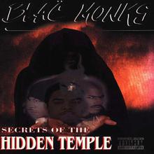 Secrets Of The Hidden Temple