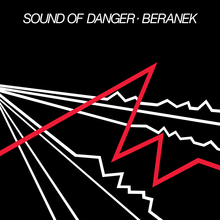 Sound Of Danger (Vinyl)