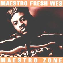 Maestro Zone