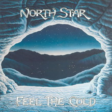 Feel The Cold (Vinyl)