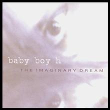 the imaginary dream