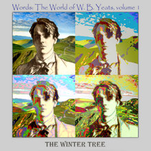 Words: The World Of W.B. Yeats Vol. 1