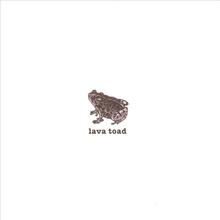lava toad