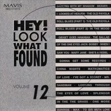Hey! Look What I Found Vol. 12