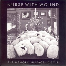 The Memory Surface CD2