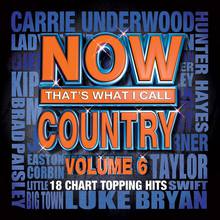 Now That's What I Call Country Volume 6