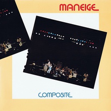 Composite (Vinyl)