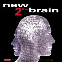 New 2 The Brain