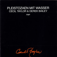 Pleistozaen Mit Wasser (With Derek Bailey)