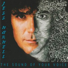 The Sound Of Your Voice (Reissued 2022)