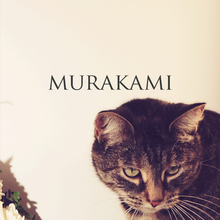 Murakami (CDS)