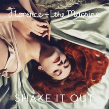 Shake It Out (CDM)