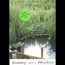 A Journey into a Meadow