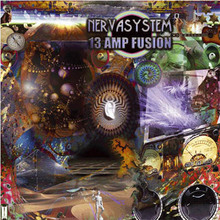 13 Amp Fusion