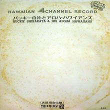 Wide Hawaiian Standard Hits (Vinyl)
