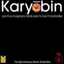 Karyobin (Vinyl)