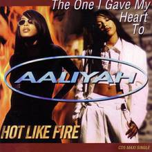 The One I Gave My Heart To / Hot Like Fire (CDS)