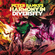 Peter Banks's Harmony In Diversity - The Complete Recordings CD3