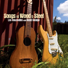 Songs Of Wood & Steel (With David Hidalgo)