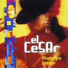 Flamenco Latino