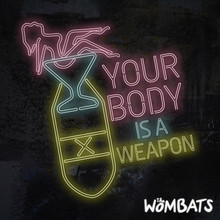Your Body Is A Weapon (CDS)