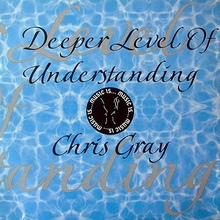 Deeper Level Of Understanding (Vinyl)