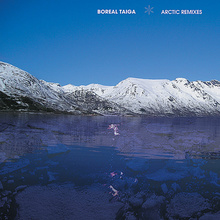 Arctic Remixes