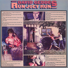 Run Joey Run (Vinyl)