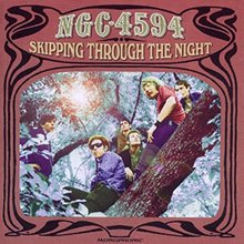 skipping Through The Night (Vinyl)