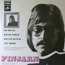 Finjarn - Jensen (Vinyl)