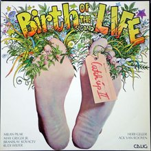 Birth Of The Second Life (Vinyl)