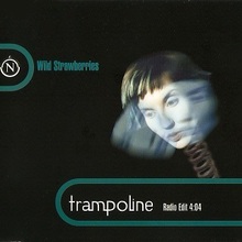 Trampoline (EP)