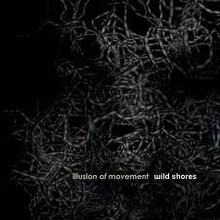 Illusion Of Movement