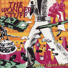 Never Loved Elvis (Remastered 2000)
