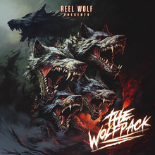 The Wolfpack