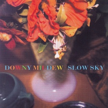 Slow Sky