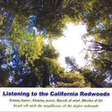 Listening to the California Redwoods