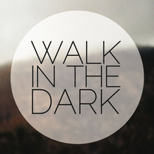 Walk In The Dark (CDS)