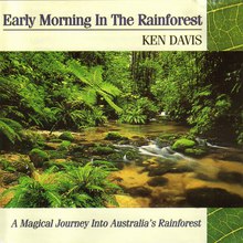 Early Morning In The Rainforest