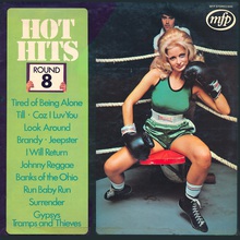 MFP: Hot Hits Vol. 8 (Vinyl)