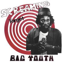 Screaming Target (Reissued 2006)