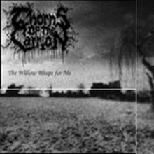 The Willow Weeps For Me (Demo)