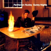 Sunny Nights (Vinyl)