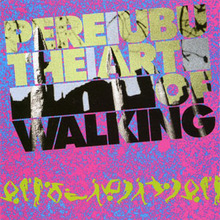 The Art Of Walking (Vinyl)