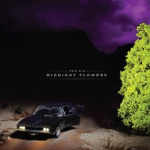 Midnight Flowers