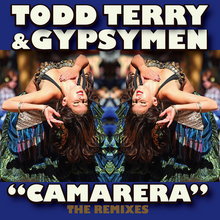 Camarera: The Remixes (With Todd Terry)