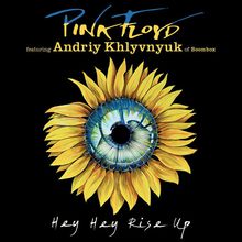 Hey, Hey, Rise Up (Feat. Andriy Khlyvnyuk Of Boombox) (CDS)
