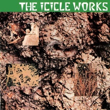 The Icicle Works (Limited Edition) CD3