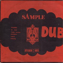 Sample Dub (Vinyl)