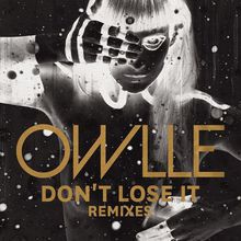 Don't Lose It (Remix) (EP)